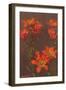 Orange Tiger Lilies-null-Framed Art Print