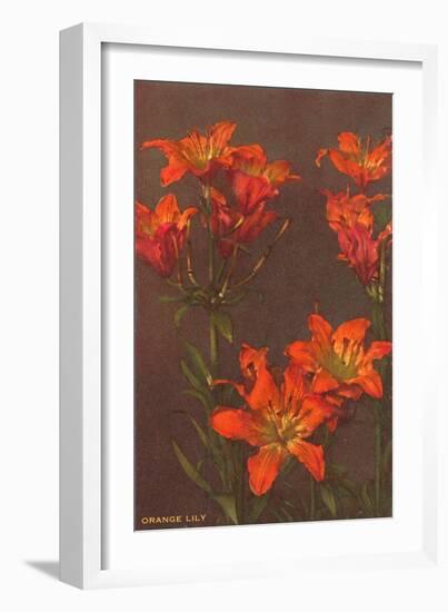 Orange Tiger Lilies-null-Framed Art Print