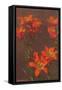 Orange Tiger Lilies-null-Framed Stretched Canvas