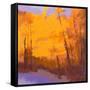 Orange to the Edge-Mike Kelly-Framed Stretched Canvas