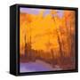 Orange to the Edge-Mike Kelly-Framed Stretched Canvas