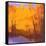 Orange to the Edge-Mike Kelly-Framed Stretched Canvas