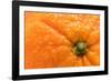 Orange Top-Steve Gadomski-Framed Photographic Print