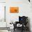 Orange Top-Steve Gadomski-Mounted Photographic Print displayed on a wall