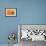 Orange Top-Steve Gadomski-Framed Photographic Print displayed on a wall