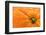 Orange Top-Steve Gadomski-Framed Photographic Print