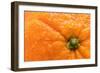 Orange Top-Steve Gadomski-Framed Photographic Print