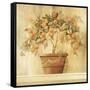 Orange Topiary-Hampton Hall-Framed Stretched Canvas