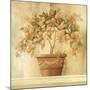 Orange Topiary-Hampton Hall-Mounted Giclee Print