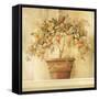 Orange Topiary-Hampton Hall-Framed Stretched Canvas