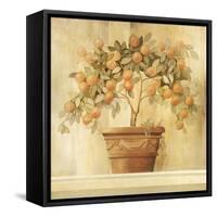 Orange Topiary-Hampton Hall-Framed Stretched Canvas