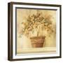 Orange Topiary-Hampton Hall-Framed Premium Giclee Print