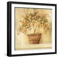 Orange Topiary-Hampton Hall-Framed Premium Giclee Print