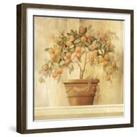 Orange Topiary-Hampton Hall-Framed Giclee Print