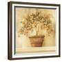 Orange Topiary-Hampton Hall-Framed Giclee Print