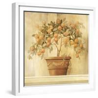 Orange Topiary-Hampton Hall-Framed Giclee Print