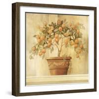 Orange Topiary-Hampton Hall-Framed Giclee Print