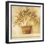 Orange Topiary-Hampton Hall-Framed Giclee Print