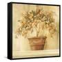 Orange Topiary-Hampton Hall-Framed Stretched Canvas