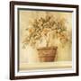 Orange Topiary-Hampton Hall-Framed Giclee Print