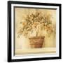 Orange Topiary-Hampton Hall-Framed Giclee Print