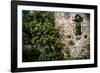 Orange Tree at a Ruin-George Oze-Framed Photographic Print