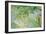 Orange Tree Branches, 1889-Berthe Morisot-Framed Giclee Print