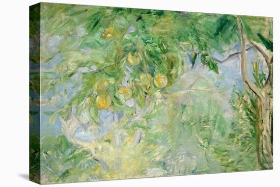 Orange Tree Branches, 1889-Berthe Morisot-Stretched Canvas