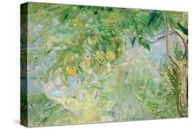 Orange Tree Branches, 1889-Berthe Morisot-Stretched Canvas