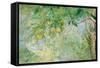 Orange Tree Branches, 1889-Berthe Morisot-Framed Stretched Canvas