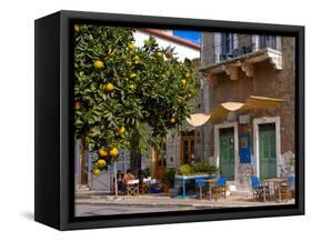 Orange Tree in a Little Village in the Lakonian Mani, Peloponnese, Greece, Europe-null-Framed Stretched Canvas