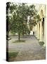 Orange Tree in Courtyard, Cordoba, Andalucia, Spain-Rob Cousins-Stretched Canvas