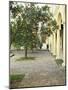 Orange Tree in Courtyard, Cordoba, Andalucia, Spain-Rob Cousins-Mounted Photographic Print