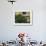 Orange Tree Outside House, Triana Quarter, Seville, Andalucia, Spain-Jean Brooks-Framed Photographic Print displayed on a wall