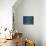 Orange Tree, Valencia, Spain, Europe-Mawson Mark-Mounted Photographic Print displayed on a wall