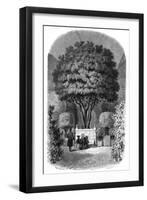 Orange Tree, Versailles-S. Sargent-Framed Art Print