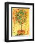 Orange Tree-Dina Cuthbertson-Framed Art Print