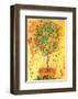 Orange Tree-Dina Cuthbertson-Framed Art Print