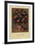 Orange Tree-Joaquin Moragues-Framed Art Print