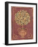 Orange Tree-Tina Chaden-Framed Art Print