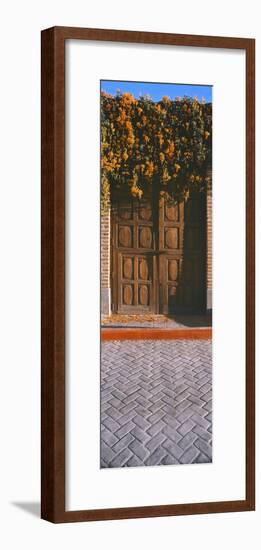 Orange trumpetvine (Pyrostegia venustacascades) growing above wooden door, Todos Santos, Baja Ca...-Panoramic Images-Framed Photographic Print