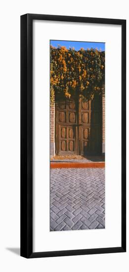 Orange trumpetvine (Pyrostegia venustacascades) growing above wooden door, Todos Santos, Baja Ca...-Panoramic Images-Framed Photographic Print