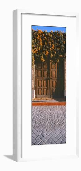 Orange trumpetvine (Pyrostegia venustacascades) growing above wooden door, Todos Santos, Baja Ca...-Panoramic Images-Framed Photographic Print