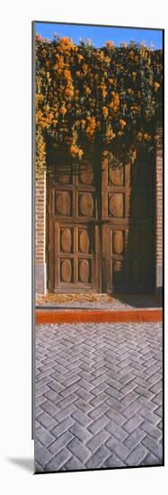 Orange trumpetvine (Pyrostegia venustacascades) growing above wooden door, Todos Santos, Baja Ca...-Panoramic Images-Mounted Photographic Print