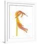 Orange Tulip No 23-Shams Rasheed-Framed Giclee Print