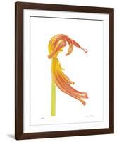 Orange Tulip No 23-Shams Rasheed-Framed Giclee Print