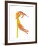 Orange Tulip No 23-Shams Rasheed-Framed Giclee Print