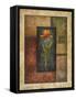 Orange Tulip-Michael Marcon-Framed Stretched Canvas