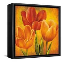 Orange Tulips I-David Pedersen-Framed Stretched Canvas