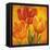 Orange Tulips I-David Pedersen-Framed Stretched Canvas